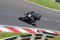 cadwell-no-limits-trackday;cadwell-park;cadwell-park-photographs;cadwell-trackday-photographs;enduro-digital-images;event-digital-images;eventdigitalimages;no-limits-trackdays;peter-wileman-photography;racing-digital-images;trackday-digital-images;trackday-photos